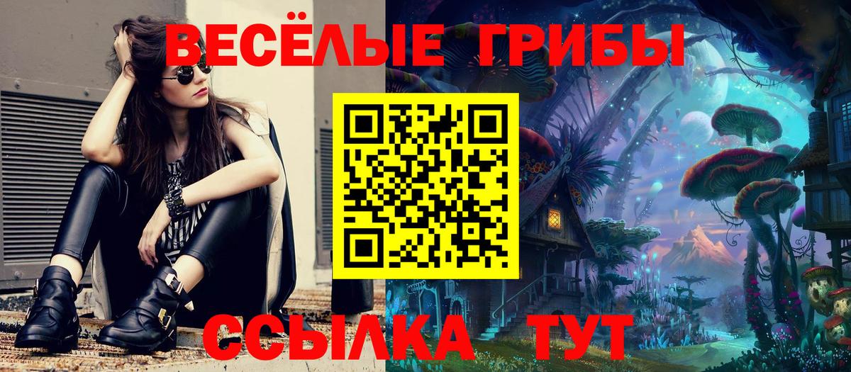 Усинск  Галлюциногенные грибы Psilocybine cubensis  Вход с VPN 